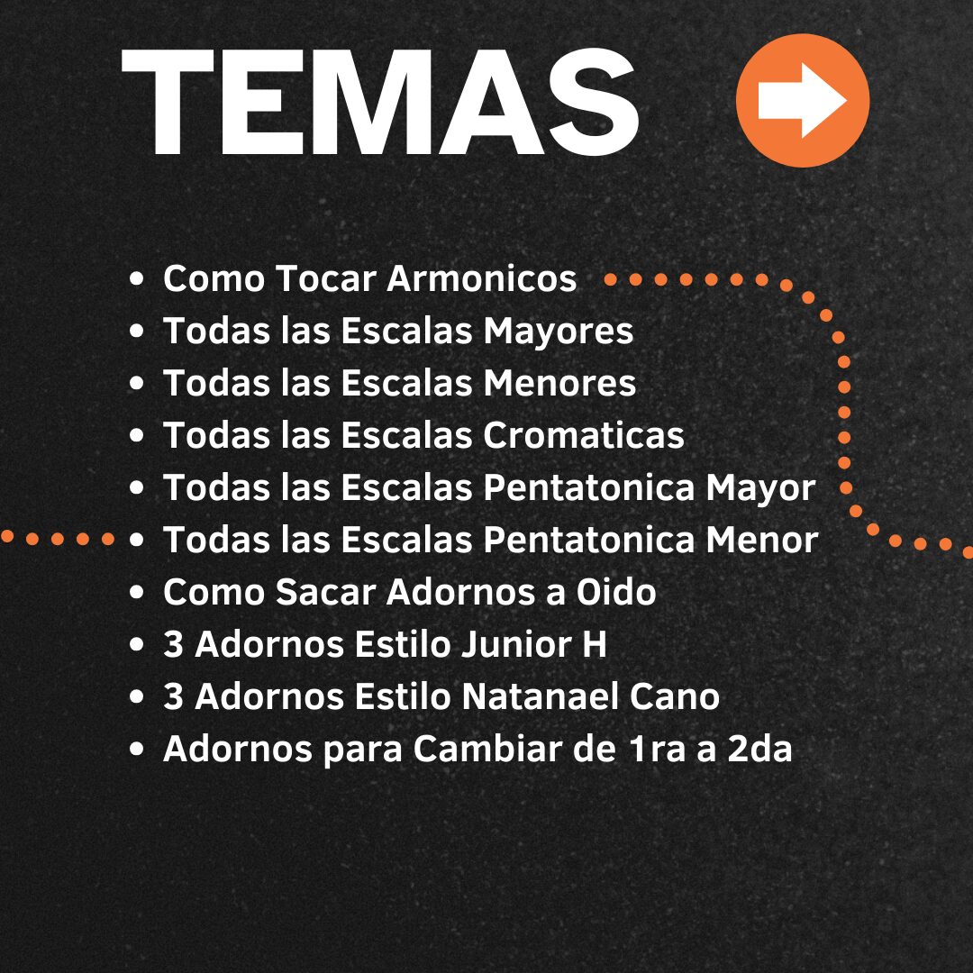 Curso de Bajo electrico – lecciones de afinación, posiciones de manos y uso de cuerdas paso a paso, con actualizaciones gratuitas tutoriales sencillos practicas CURS BAJO ELECTRICO