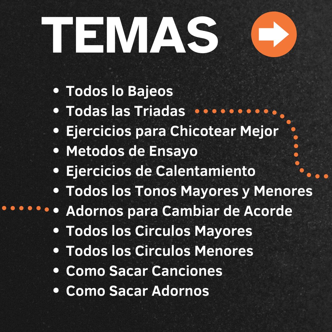 Curso de Bajoloche bajo acústico – lecciones de afinación, posiciones de manos y uso de cuerdas paso a paso, con actualizaciones gratuitas CURS BAJOLOCHE