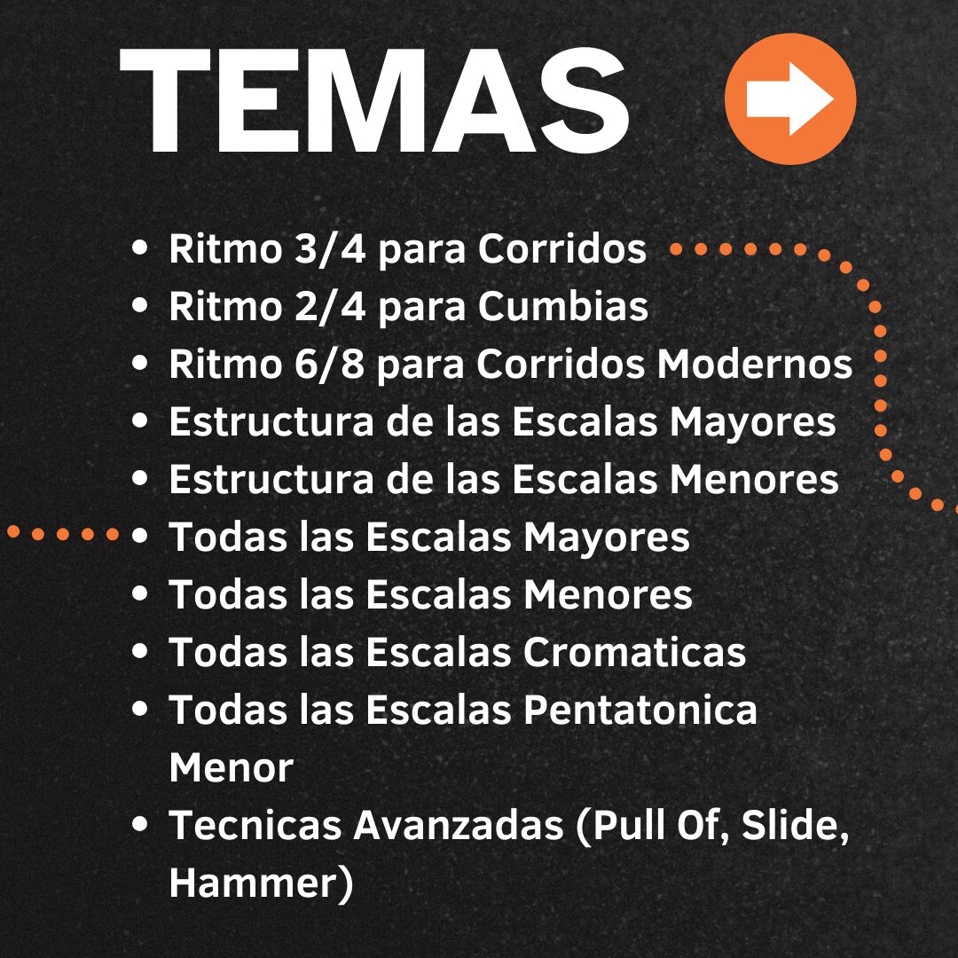 Curso de Bajoloche bajo acústico – lecciones de afinación, posiciones de manos y uso de cuerdas paso a paso, con actualizaciones gratuitas CURS BAJOLOCHE