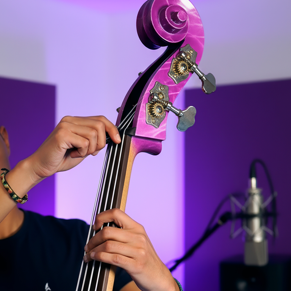 Curso de Tololoche - Aprende paso a paso con lecciones en video para principiantes y nivel avanzado de Estilo Music