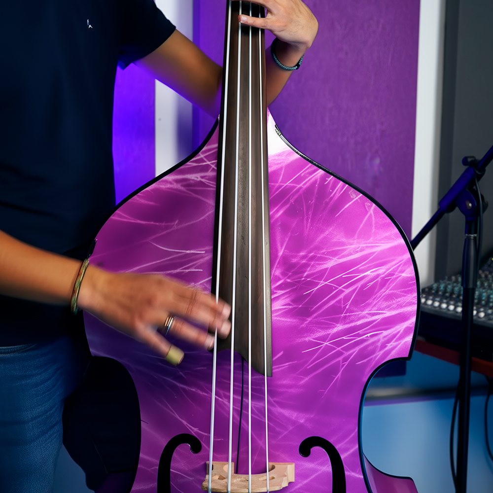 Curso de Tololoche - Aprende paso a paso con lecciones en video para principiantes y nivel avanzado de Estilo Music