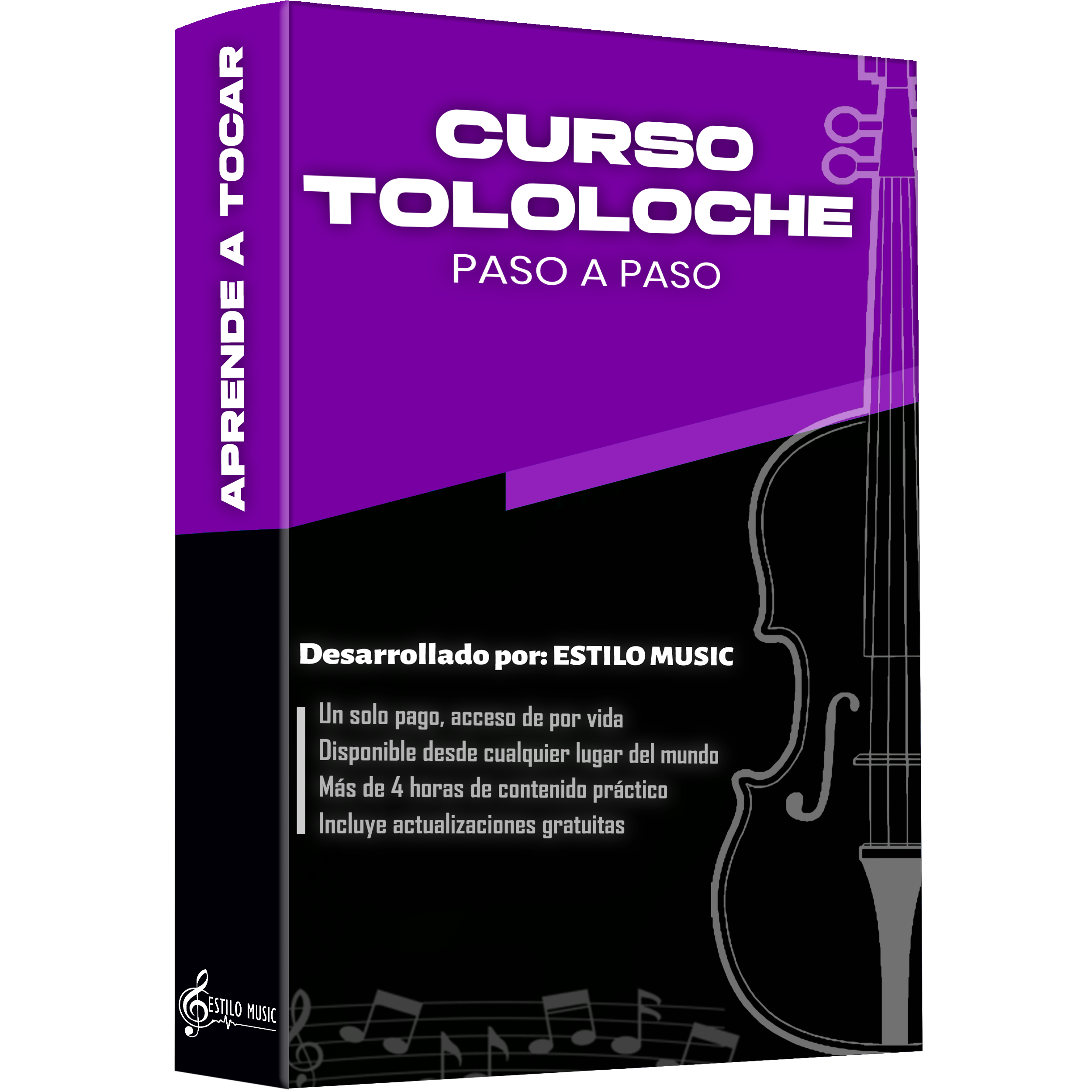 Curso de Tololoche - Aprende paso a paso con lecciones en video para principiantes y nivel avanzado de Estilo Music