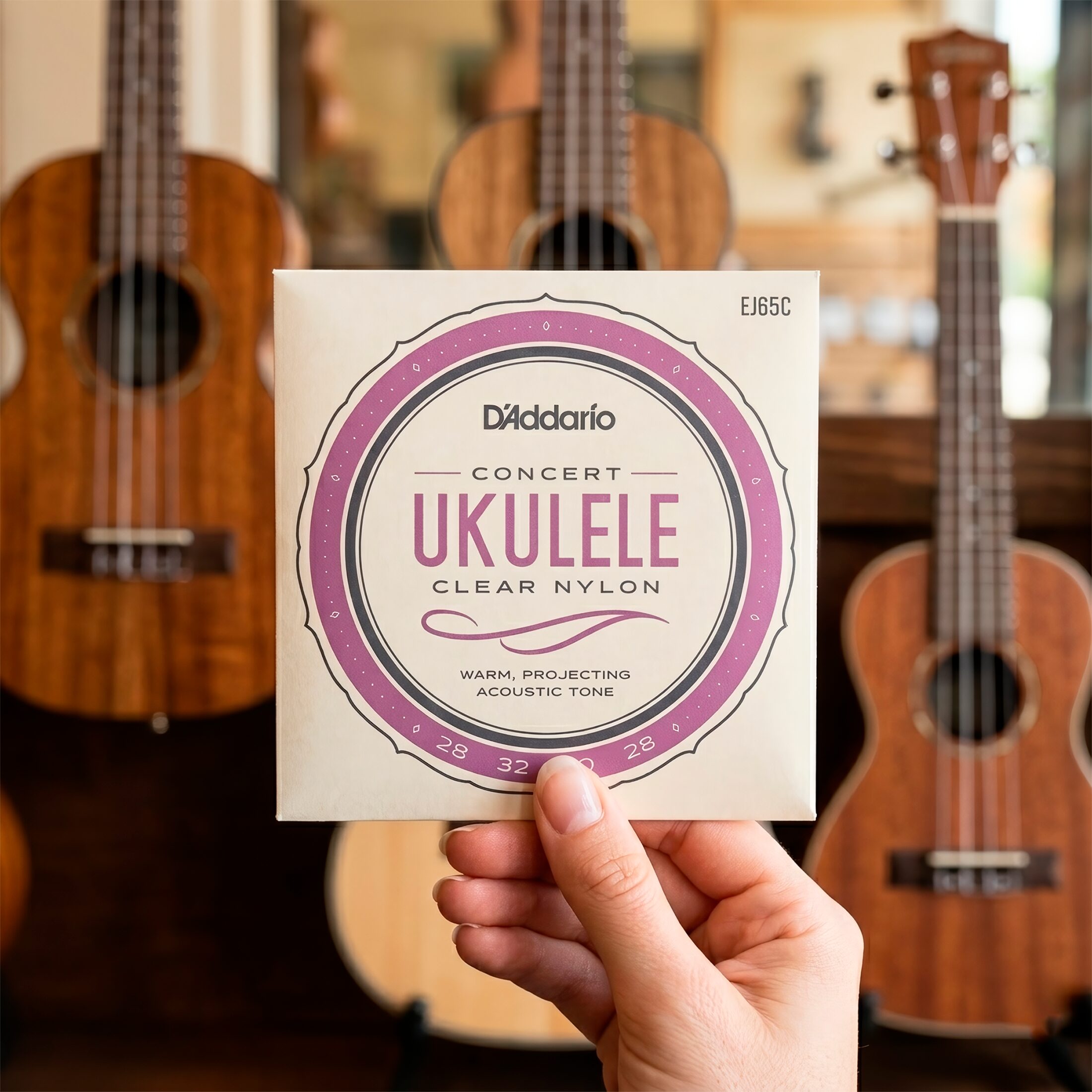 Cuerdas para Ukulele Daddario EJ65C Concert Clear Nylon con afinación estándar GCEA y sonido brillante de alta calidad.